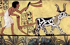 ploughing in ancient Egypt, Agricultural subsidies